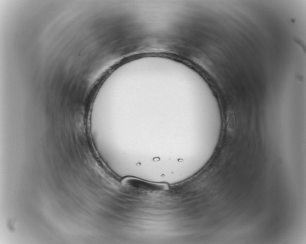 X0000102301452200808152006