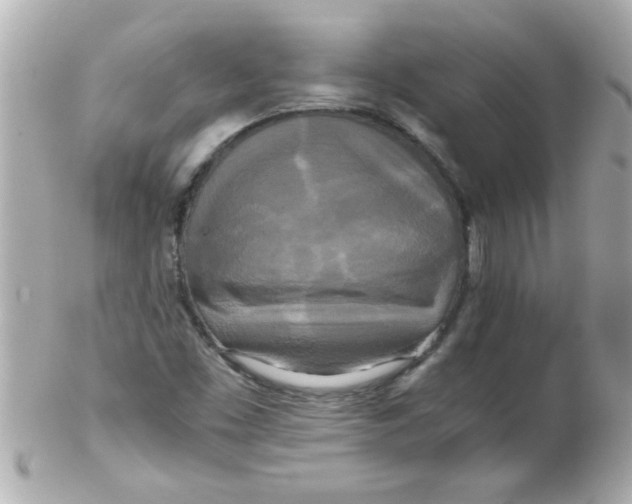 X0000102301453200808152006