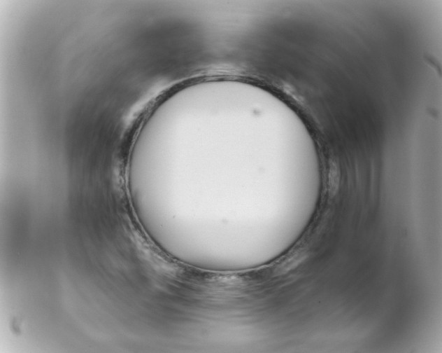 X0000102301454200808152006
