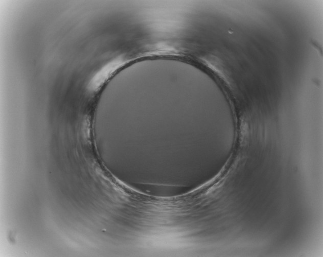 X0000102301455200808152006