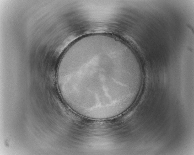 X0000102301457200808152006