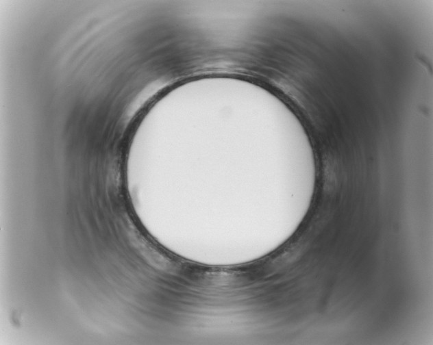 X0000102301458200808152006