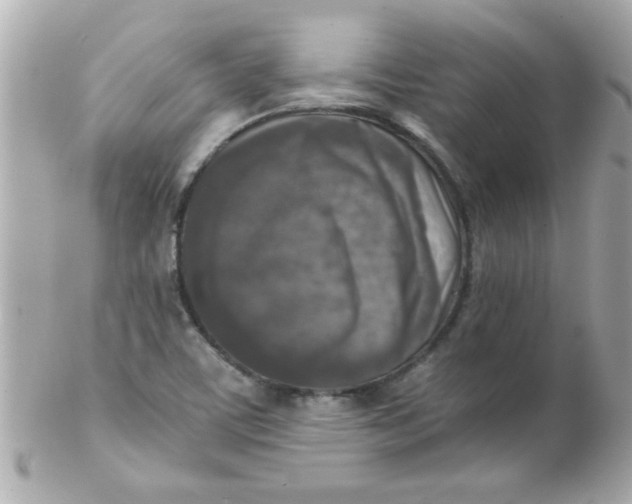 X0000102301459200808152006