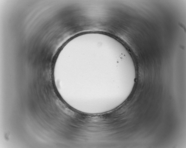 X0000102301460200808152006
