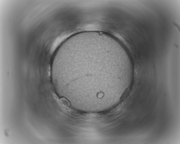 X0000102301461200808152006
