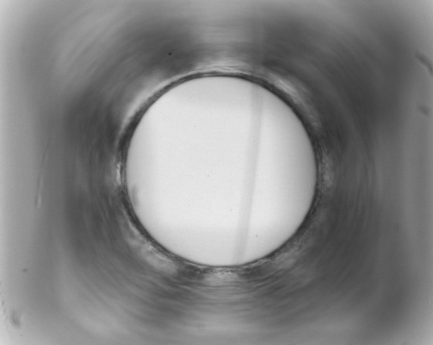 X0000102301462200808152006