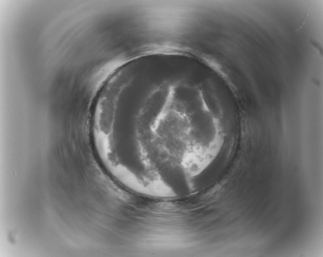 X0000102301463200808152006