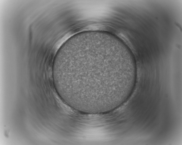 X0000102301465200808152006