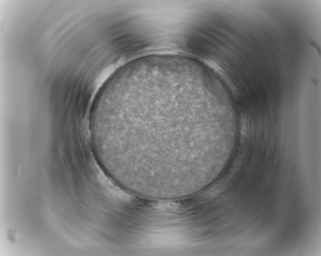 X0000102301466200808152006