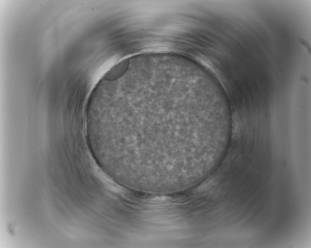 X0000102301467200808152006