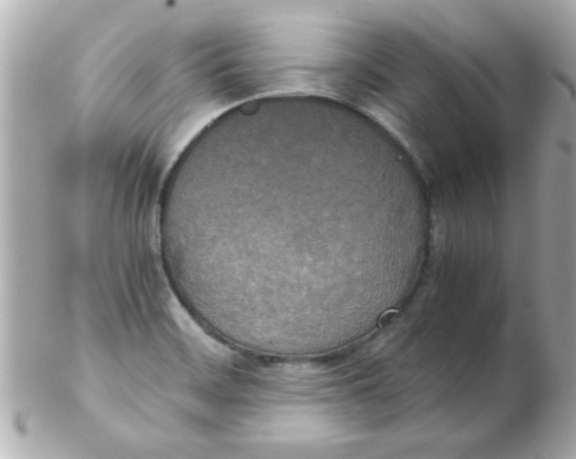 X0000102301468200808152006