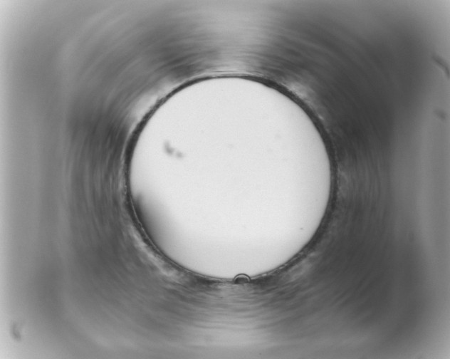 X0000102301469200808152006