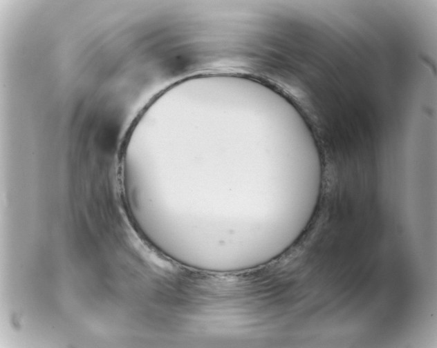 X0000102301470200808152006