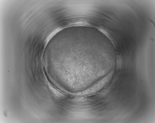 X0000102301474200808152006