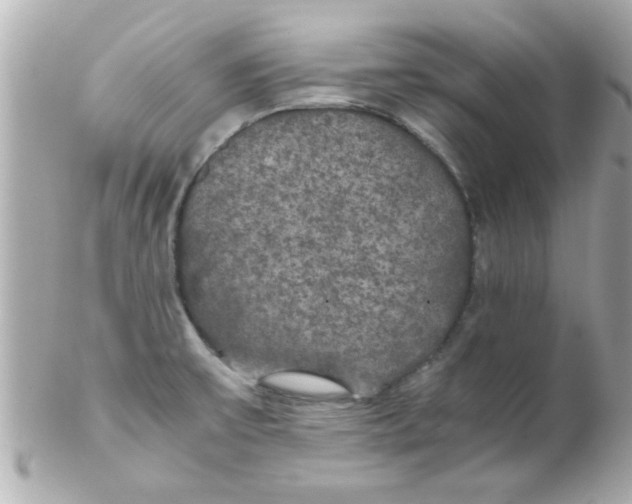 X0000102301475200808152006