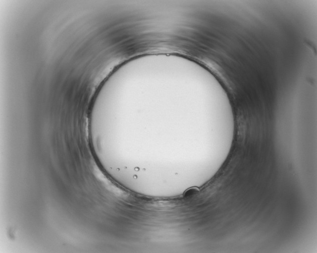 X0000102301476200808152006