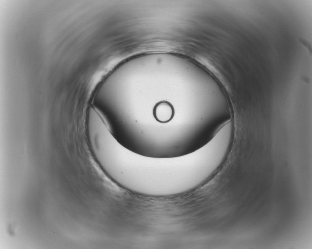 X0000102301477200808152006