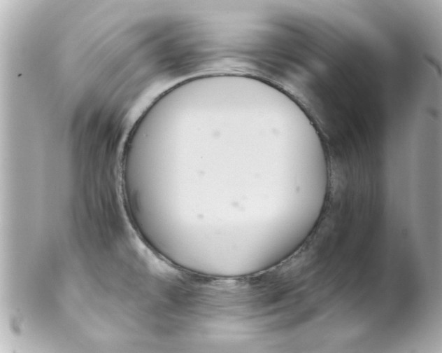 X0000102301478200808152006