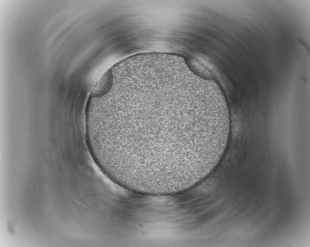 X0000102301479200808152006