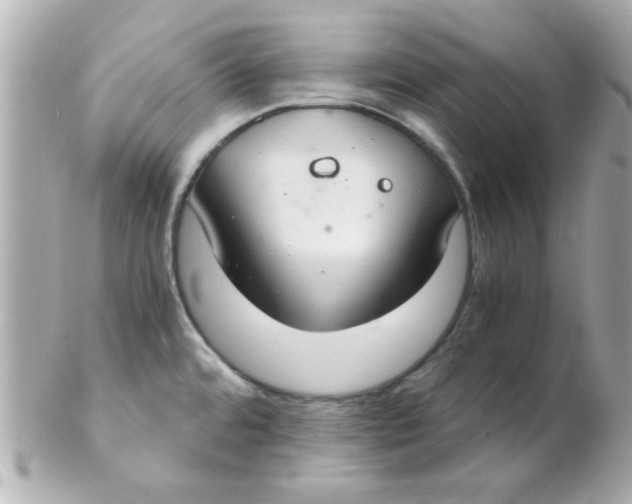 X0000102301480200808152006