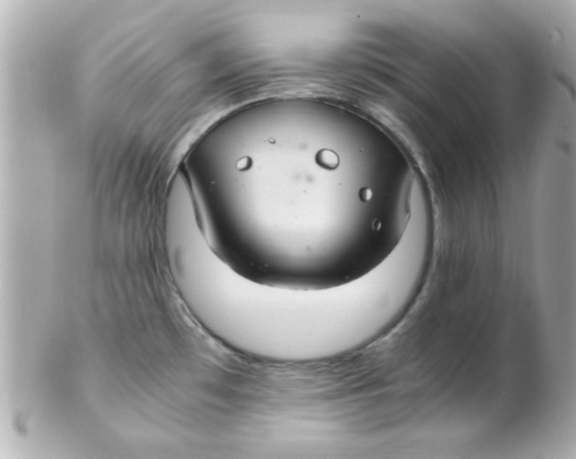 X0000102301481200808152006