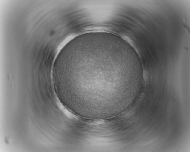 X0000102301482200808152006