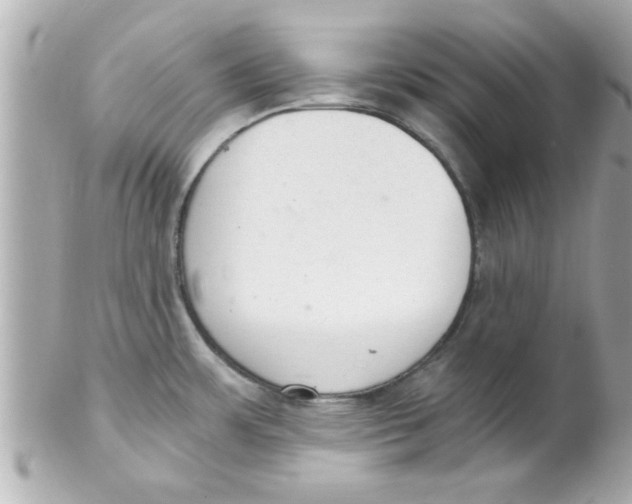 X0000102301483200808152006