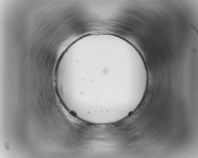 X0000102301485200808152006