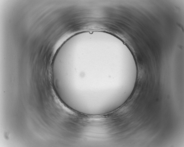 X0000102301486200808152006