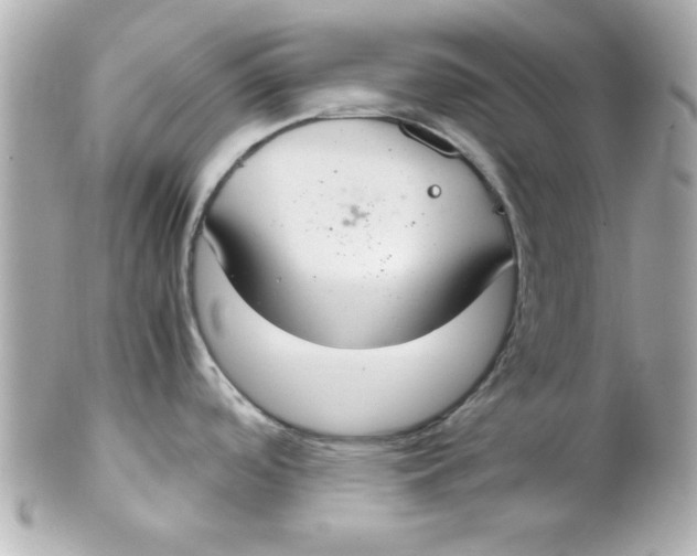 X0000102301488200808152006