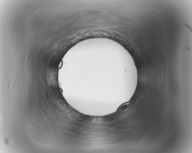 X0000102301490200808152005