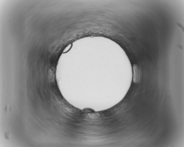 X0000102301491200808152005