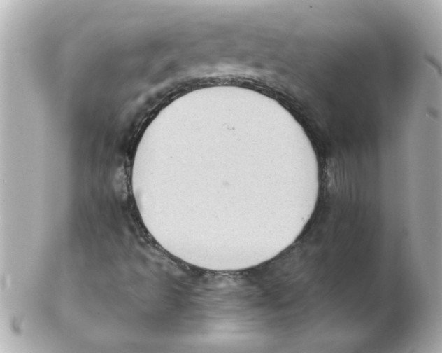 X0000102301493200808152005