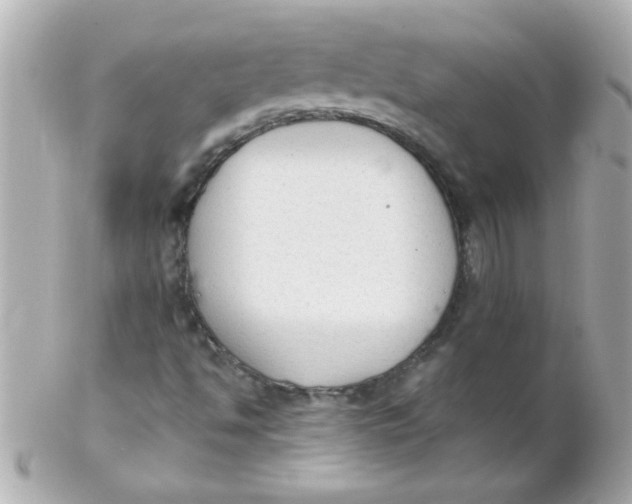 X0000102301494200808152005