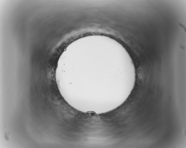 X0000102301495200808152005