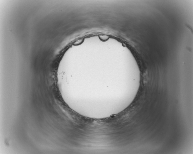 X0000102301496200808152005