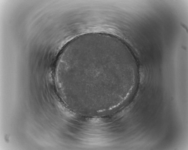 X0000102301497200808152005