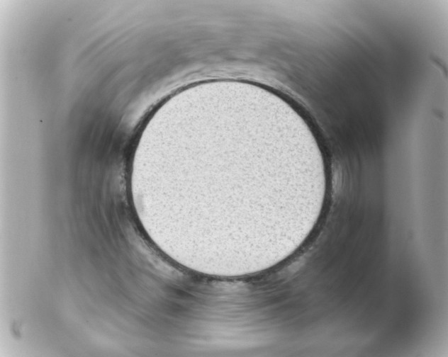 X0000102301498200808152005