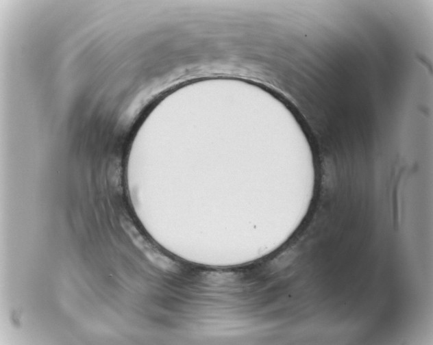 X0000102301499200808152005