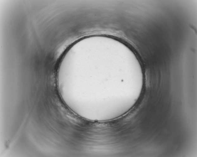 X0000102301501200808152005