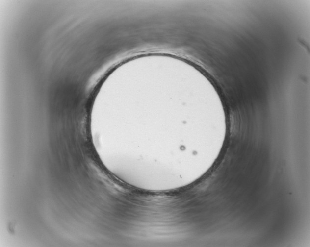 X0000102301502200808152005