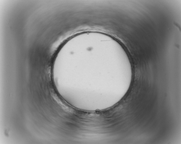 X0000102301503200808152005