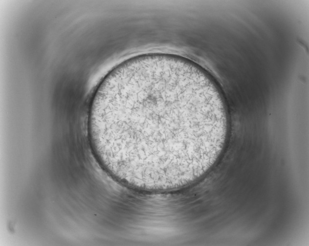 X0000102301504200808152005