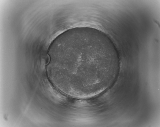 X0000102301505200808152005