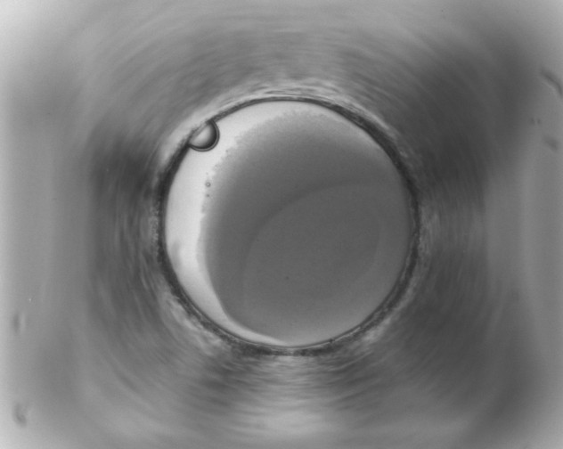 X0000102301506200808152005