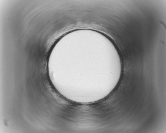 X0000102301507200808152005