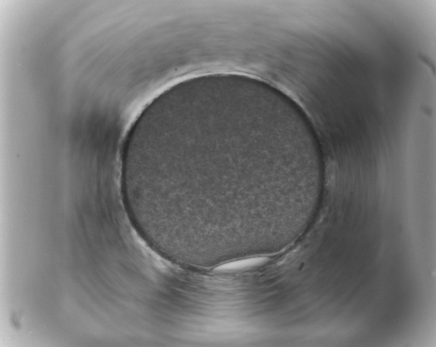 X0000102301508200808152005