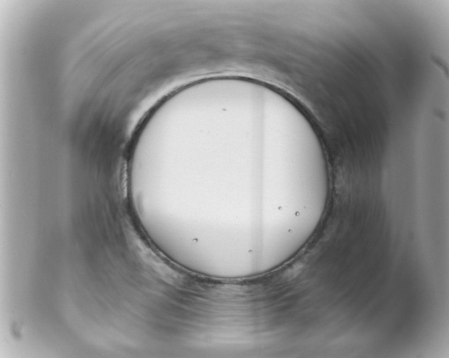 X0000102301510200808152005
