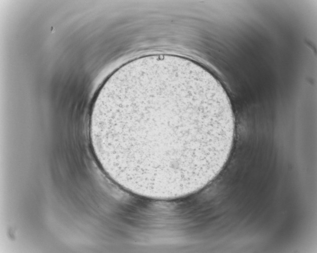 X0000102301514200808152005
