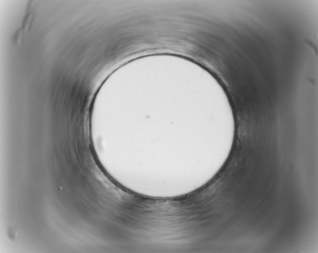 X0000102301516200808152005